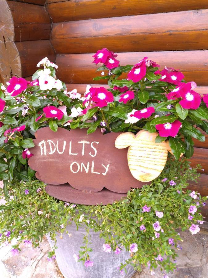 Chalet Le Paradou Adults Only Lessive Exterior photo